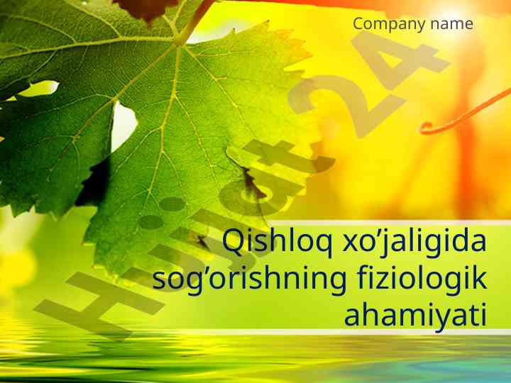 Qishloq xo’jaligida sug’orishning fiziologik ahamiyati