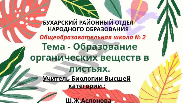 Obrazovanie organicheskikh veshchestv v listyakh