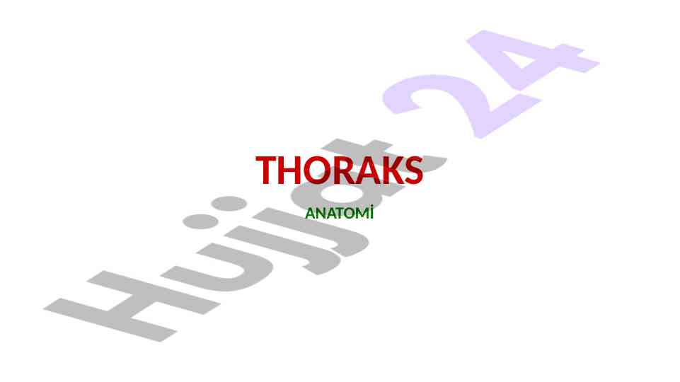 Thoraks anatomisi ve yapısal özellikleri