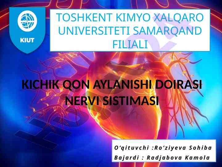 Kichik qon aylanilishi doirasi nervi sistimasi