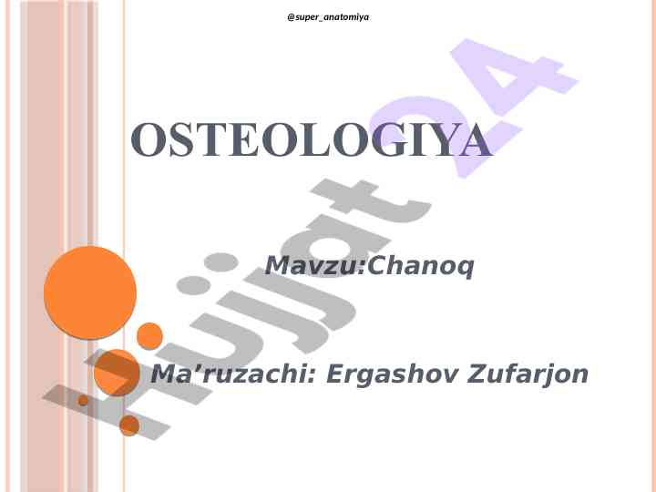 Skelet sistemasining chanoq suyaklari haqida ma'lumotlar