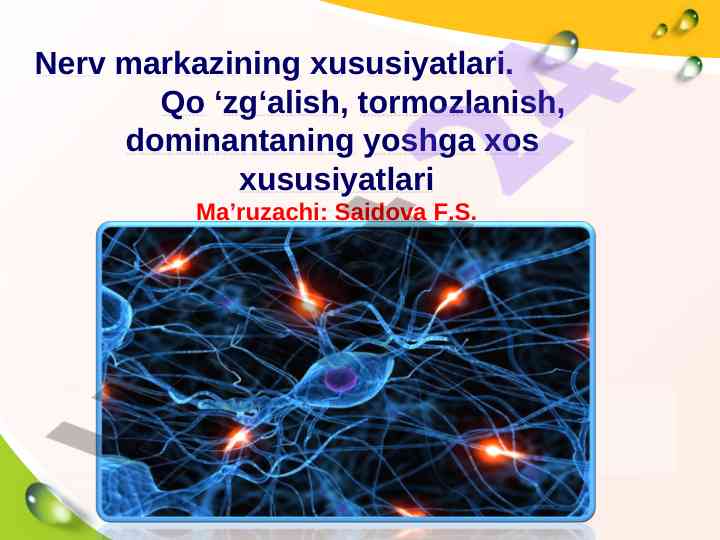 Nerv sistemasining tuzilishi va xususiyatlari
