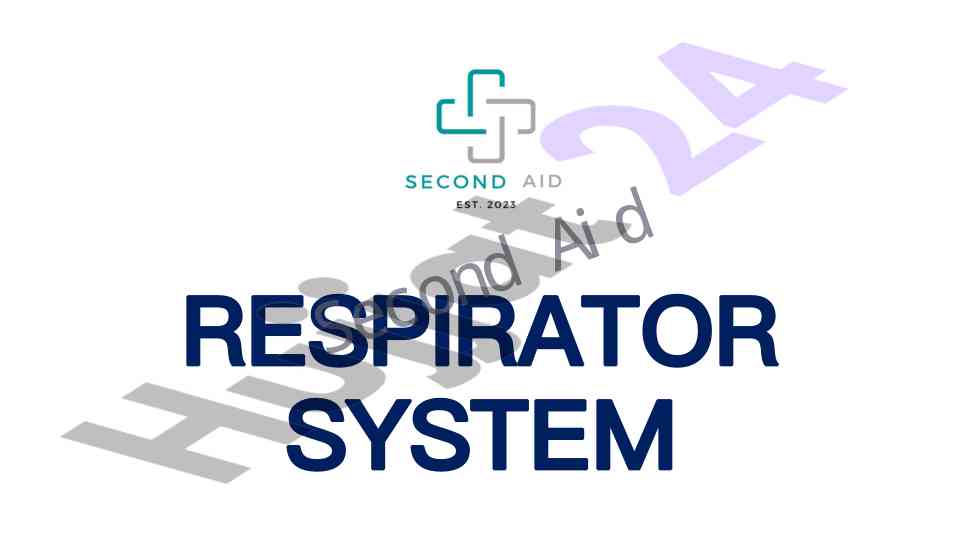 Respirator system second aid overview