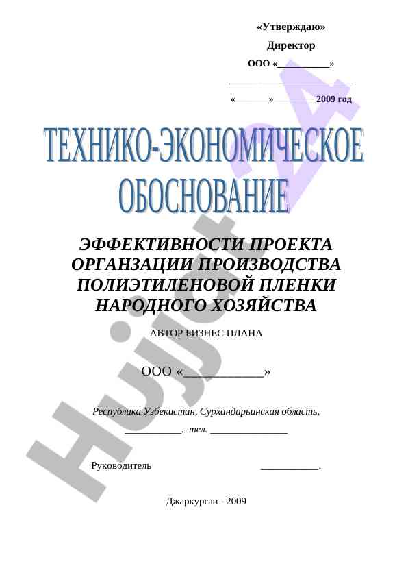 Эффективности проекта организации производства пленки