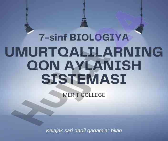 Umurtqali hayvonlarda qon aylanish tizimi