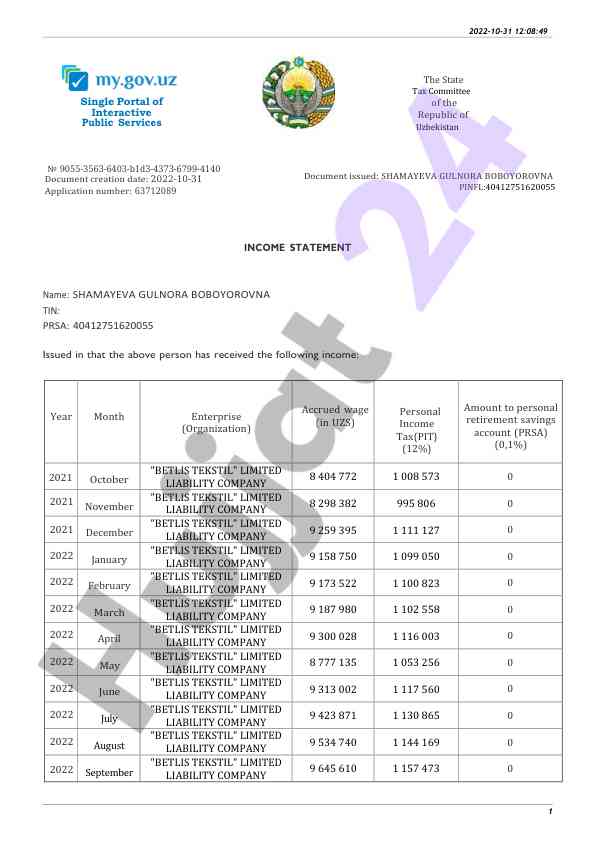 Income statement overview for public services