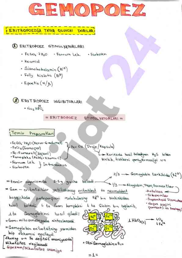 Adti talabasi: muhandislik va informatika kurslari
