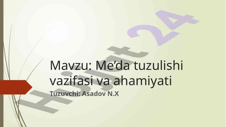 Me’da tuzilishi vazifasi va ahamiyati tahlili