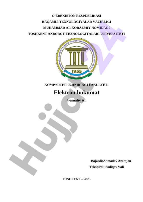 Rivojlangan mamlakatlarda elektron hukumat tajribalari