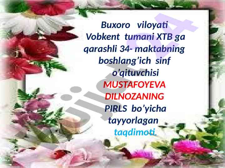 Ayiq va yigitning do‘stligi haqida hikoya