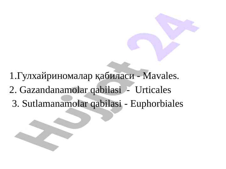 Gulhayrinomalar qabilasi va ularning o‘ziga xosligi