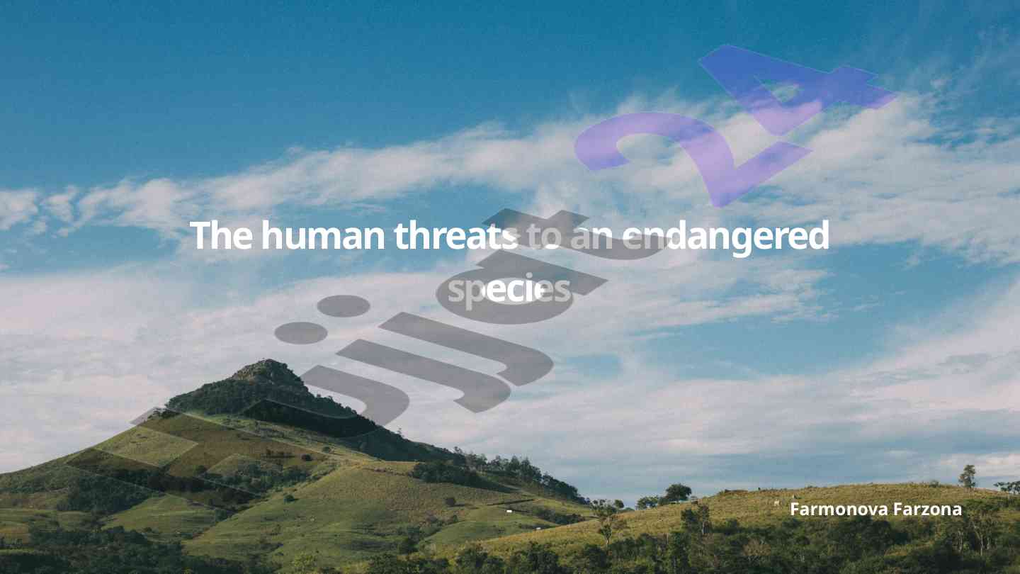 Human threats to endangered african elephants