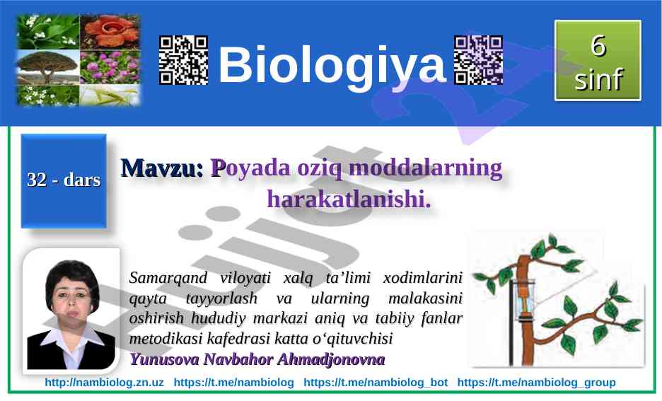 Poyada oziq moddalarning harakatlanishi tajribalari