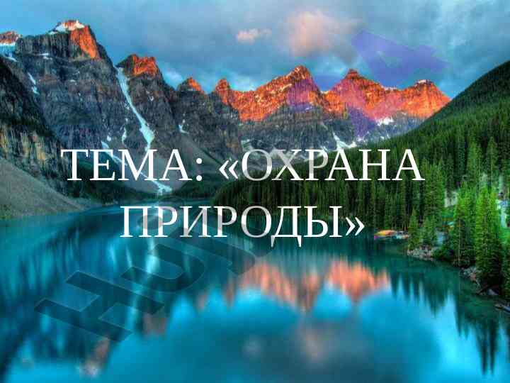Охрана природы и влияние человека на экологию
