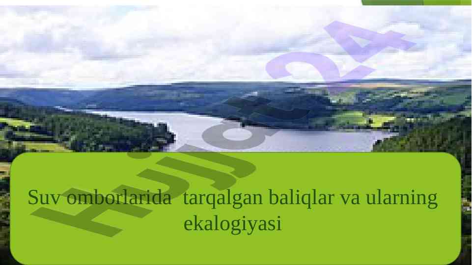Suv omborlarida tarqalgan baliqlar va ularning ekologiyasi