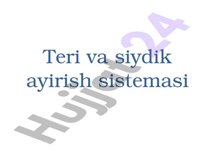 Teri va siydik ayirish sistemasi haqida ma'lumotlar