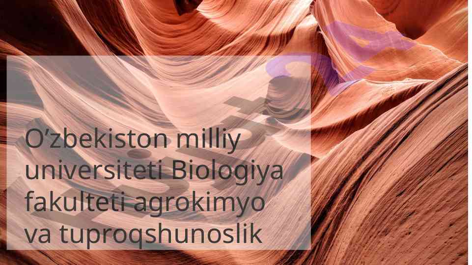Tuproq morfologiyasi va profil tuzilishi