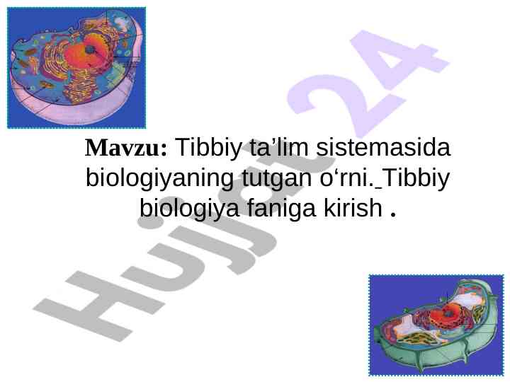 Tibbiy ta'limda biologiya o'rni va rivojlanishi