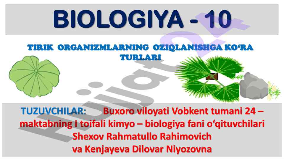Tirik organizmlarning oziqlanish turlari biologiya
