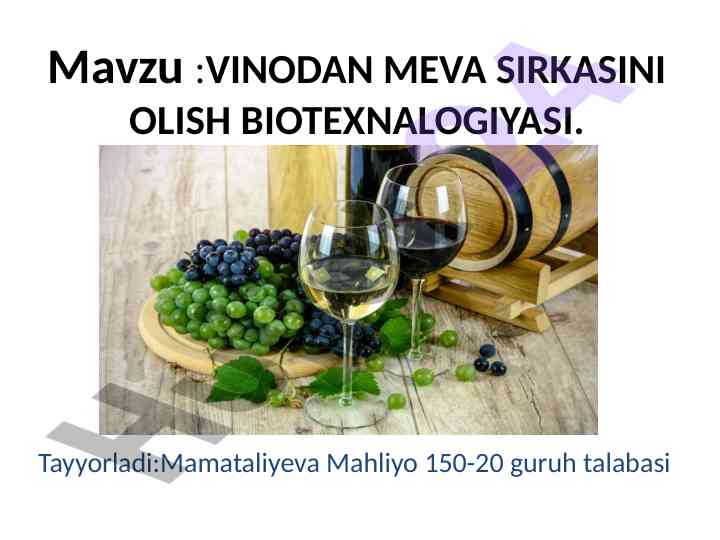 Vinodan meva sirkasini olish biotexnologiyasi