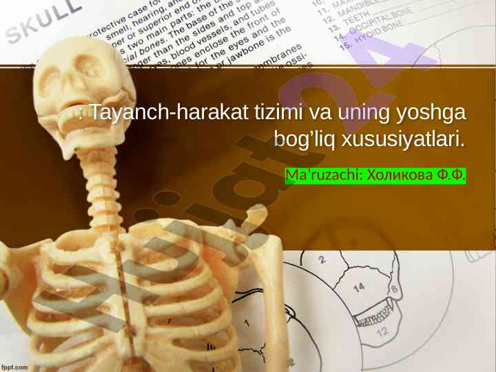 Tayanch-harakat tizimi va yoshga bog’liq xususiyatlar