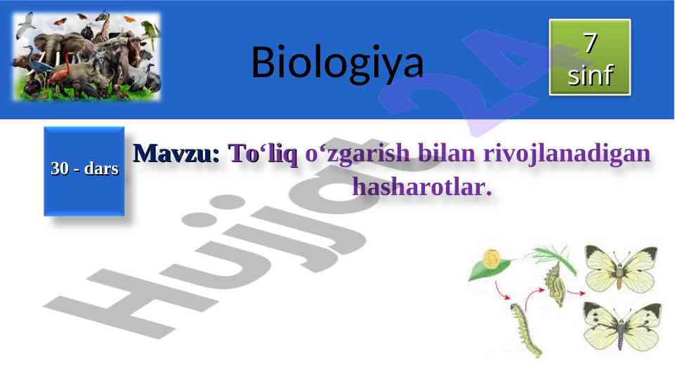 To‘liq o‘zgarish bilan rivojlanadigan hasharotlar