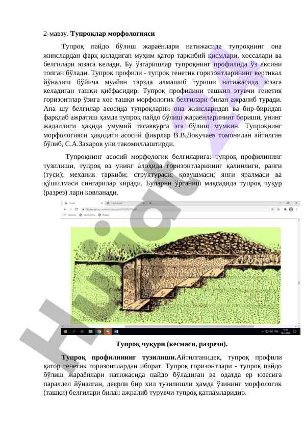Tuproqlar morfologiyasi va tuproq profili