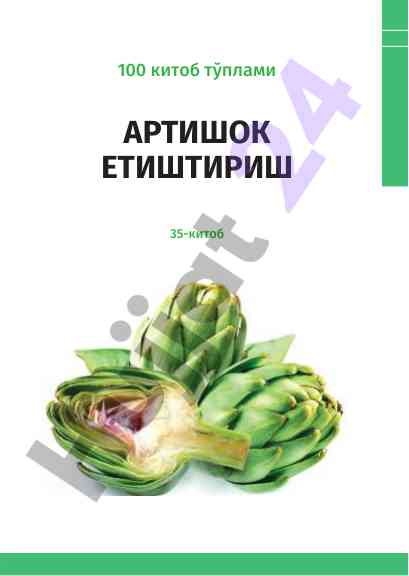 Артишок етиштириш: қишлоқ хўжалиги ривожи учун асослар
