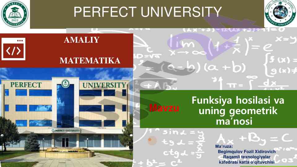 Amaliy matematika: funksiya hosilasi va geometrik ma’nosi