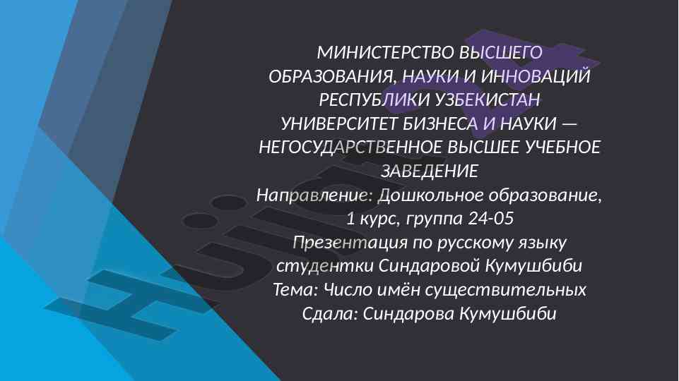 Число имен существительных в русском языке