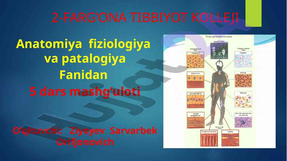 Hujayralarning tuzilishi va patologiyasi bo'yicha dars