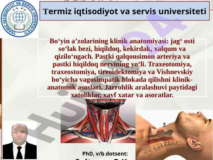 Boʻyin sohasi klinik anatomiyasi: asosiy asoslar