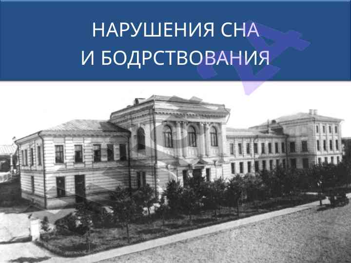 Регуляция сна и бодрствования на млекопитающих