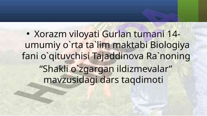 Shakli o‘zgargan ildizlar dars taqdimoti