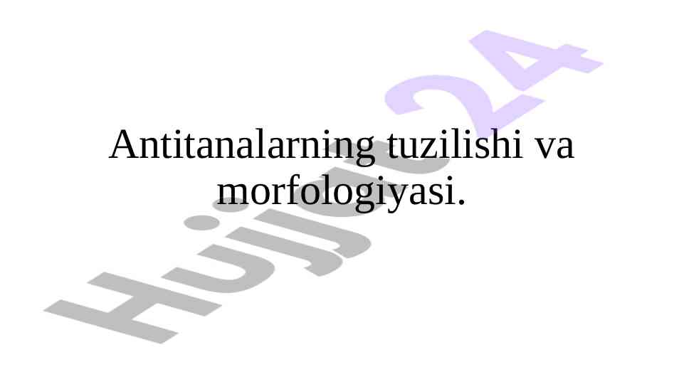 Immunoglobulinlar tuzilishi va morfologiyasi