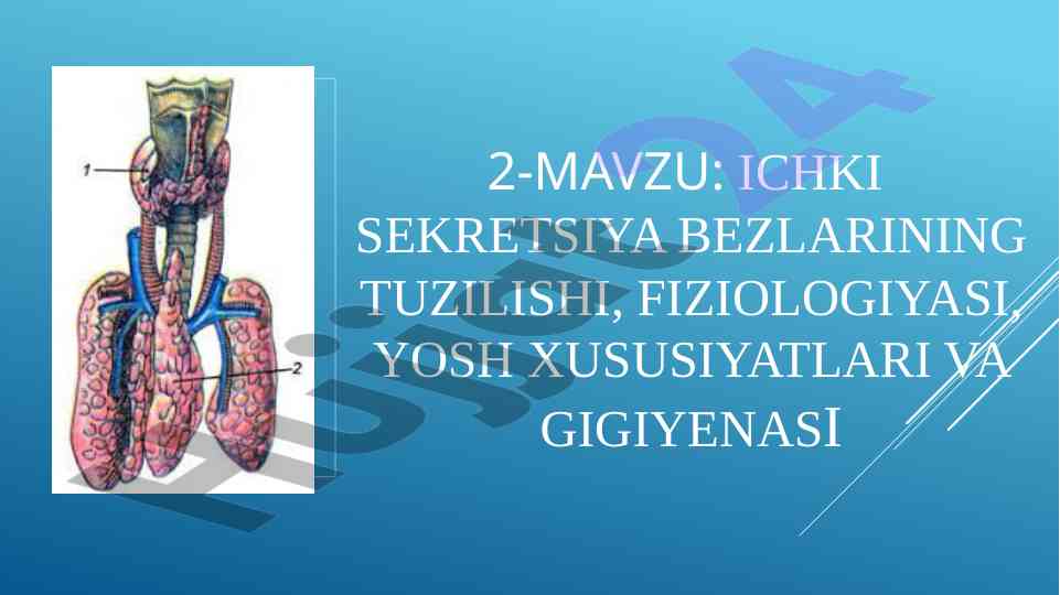 Ichki sekretsiya bezlari tuzilishi va fiziologiyasi