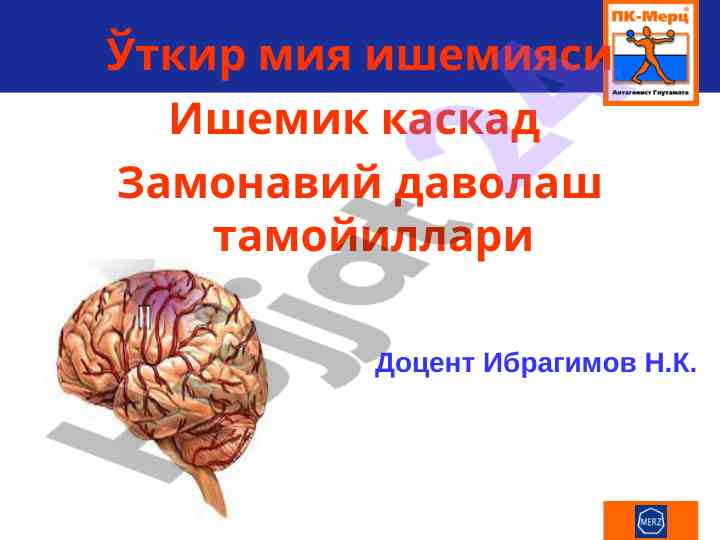 Бош мия ишемияси ва асоратлари тадқиқоти