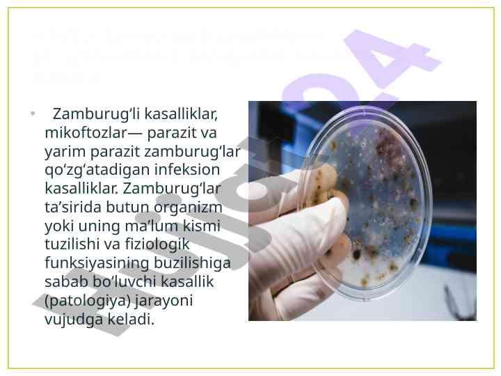 Zamburug'li kasalliklarning tashxisi va patogenezi