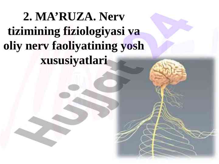 Nerv tizimining fiziologiyasi va oliy nerv faoliyatining yosh xususiyatlari