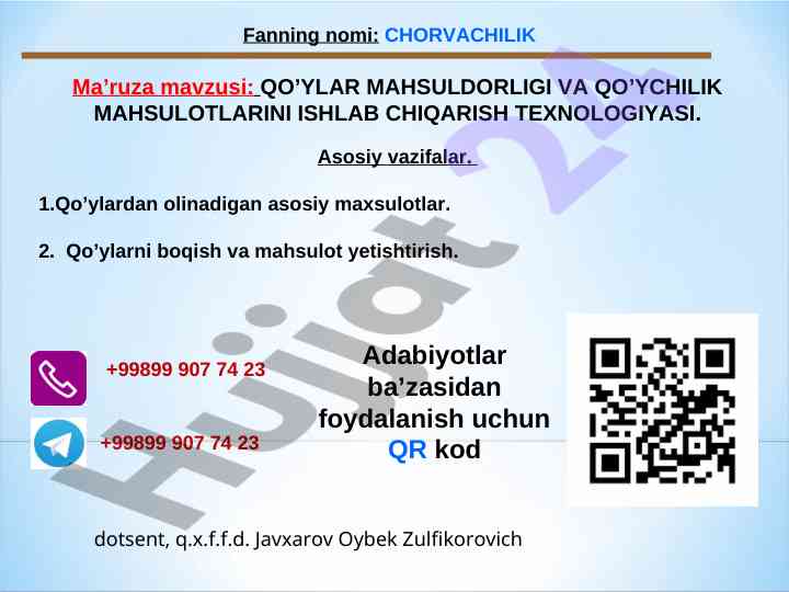 Qo'ylar mahsuldorligi va ishlab chiqarish texnologiyasi