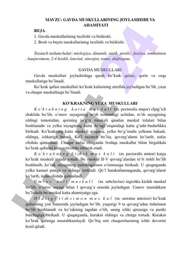 Gavda muskullarining joylashishi va ahamiyati