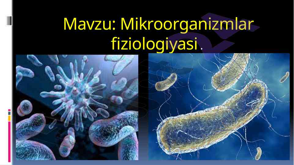Mikroorganizmlar fiziologiyasi oziqlanish tiplari