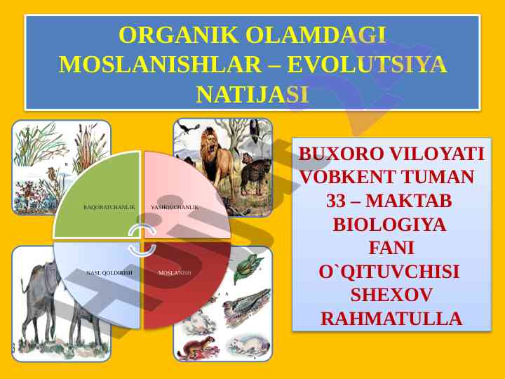 Organik olamdagi moslanishlar evolutsiya natijasi