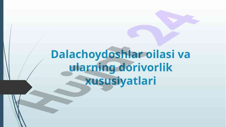 Dalachoydoshlar oilasining dorivorlik xususiyatlari