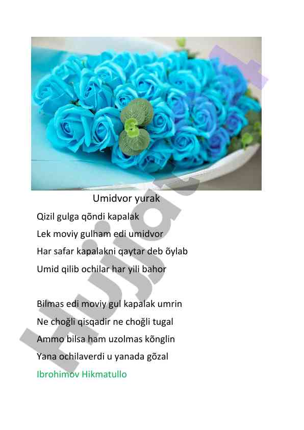 Umidvor yurakdagi haqiqat va g'amlar