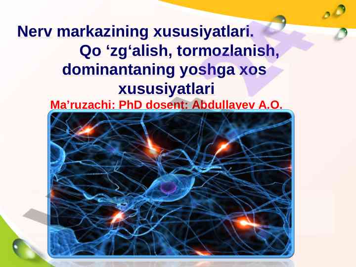 Nerv markazining xususiyatlari va tizimlari