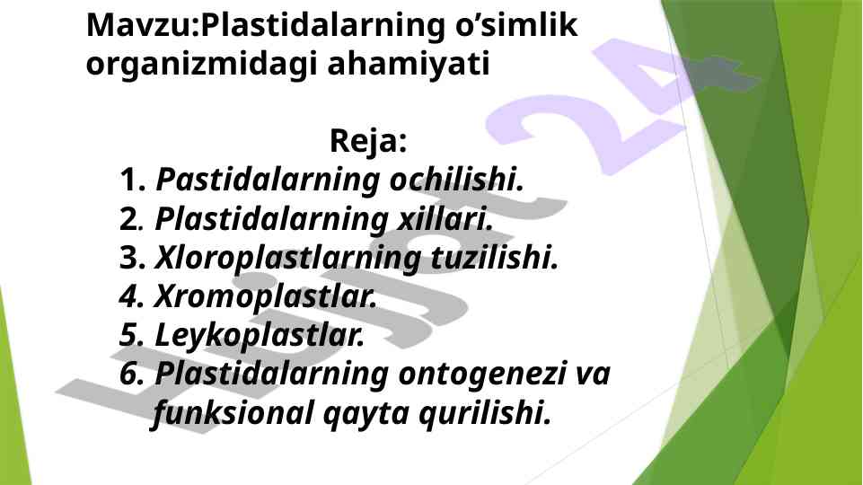 Plastidalarning o’simlik organizmidagi ahamiyati