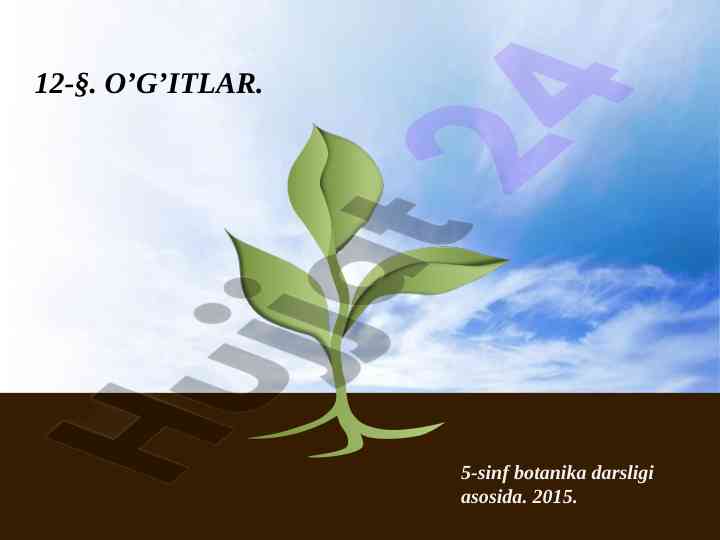 O‘g‘itlar va o‘simliklarning tuproq ehtiyojilari
