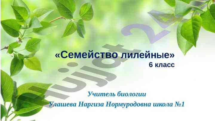 Корневая система лилейных история и задание