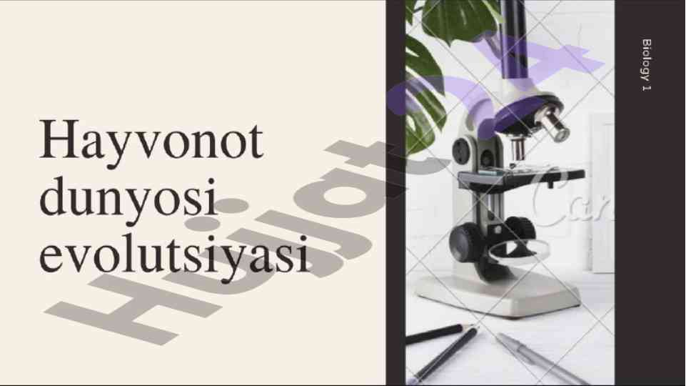 Shaxsiy Rivojlanish Uchun Strategiyalar
